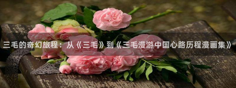 小男孩bl漫画：三毛的奇幻旅程：从《三毛》到《三毛漫游中国心路历程漫画集》